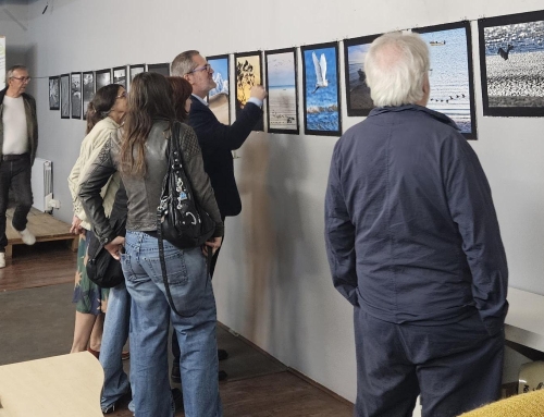 Vernissage réussi à Saint-Marcouf